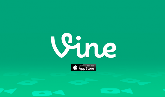 Vine